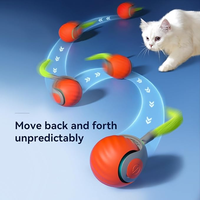 Interactive Electric Rolling Ball