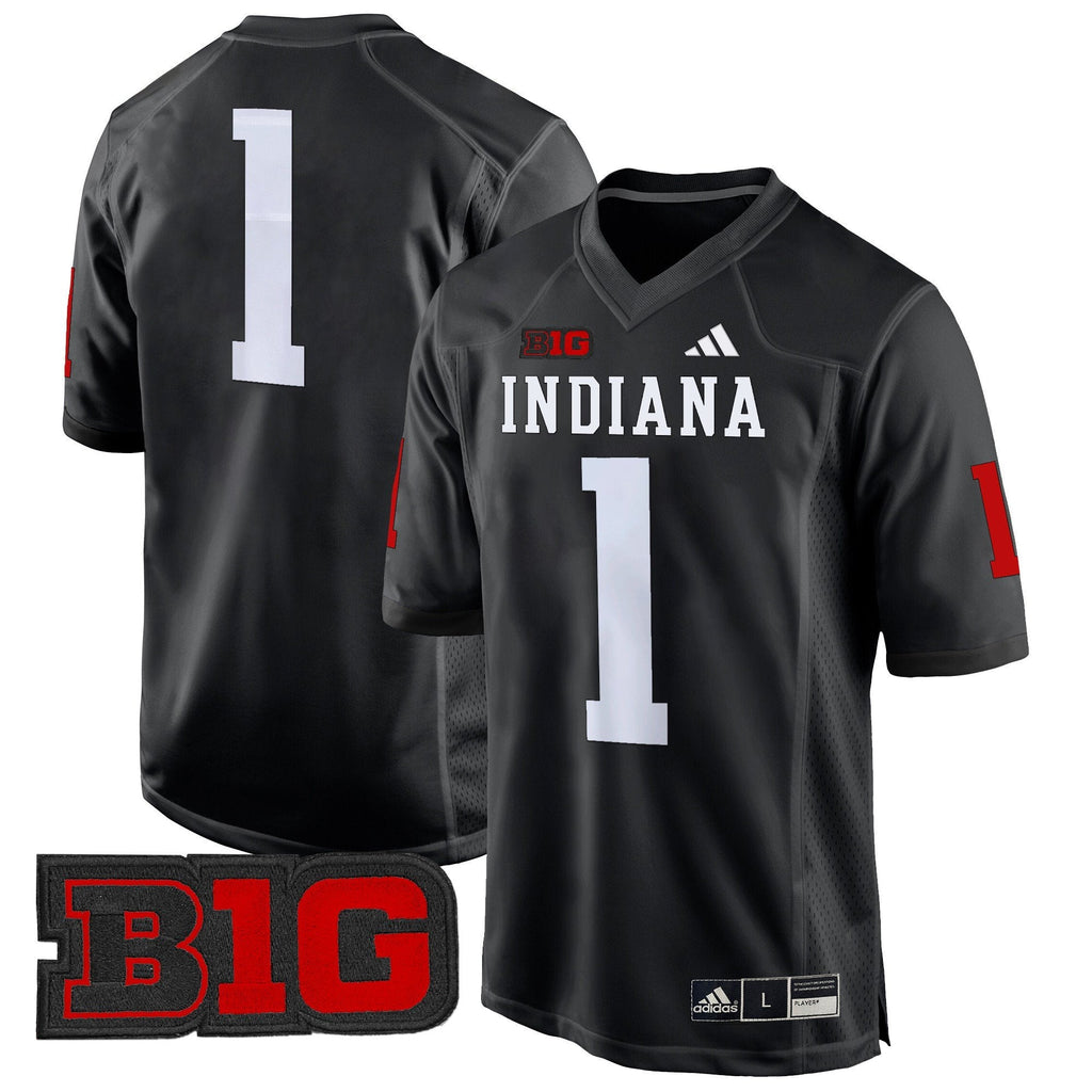 Men Indiana Hoosiers 2024 Game Jersey V2 - All Stitched