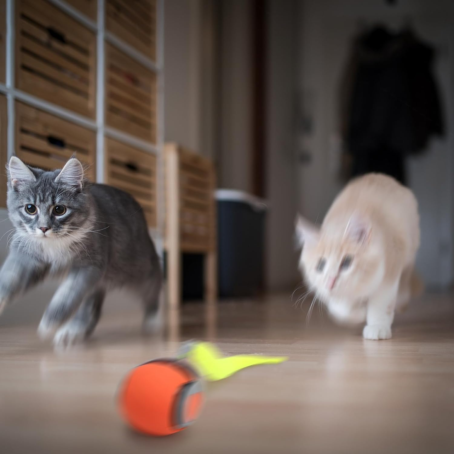 Interactive Electric Rolling Ball
