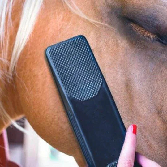 6 In 1 Shedding Grooming Massage Brush