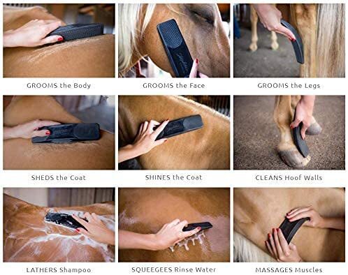 6 In 1 Shedding Grooming Massage Brush