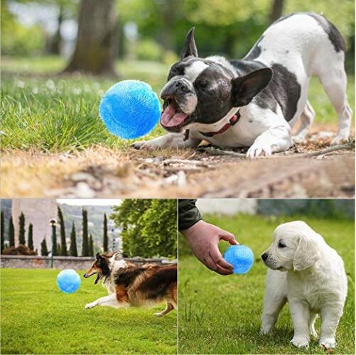 Active Rolling Ball For Pet