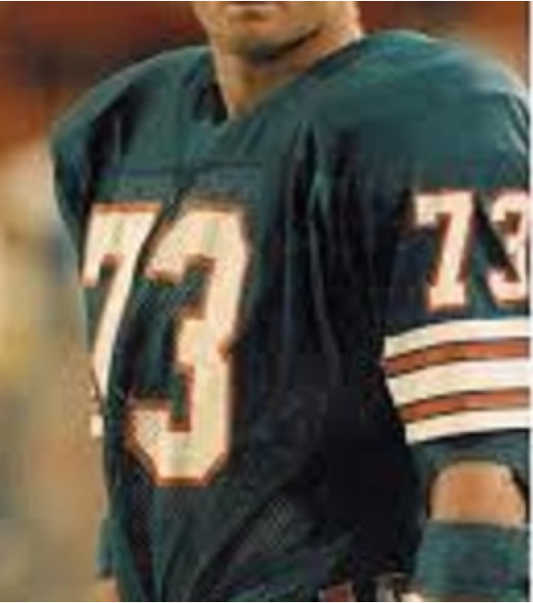 Bob Baumhower Jersey Miami Dolphins Custom Throwback Football Green
