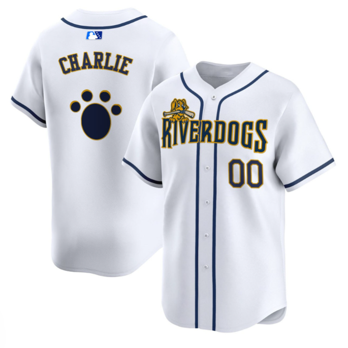 Custom Charleston RiverDogs Jersey Name, Number All Stitched White