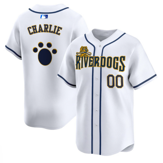 Custom Charleston RiverDogs Jersey Name, Number All Stitched White