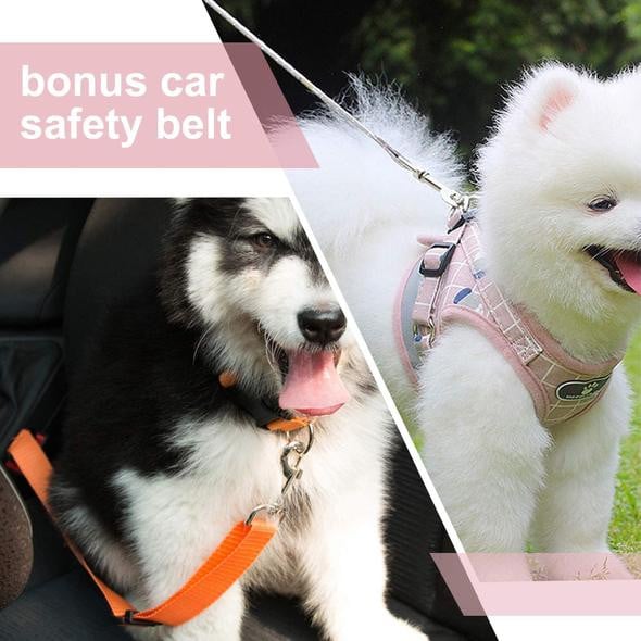 Cat &amp; Dog Harness and Leash Set with Reflective Strip Adjustable Soft