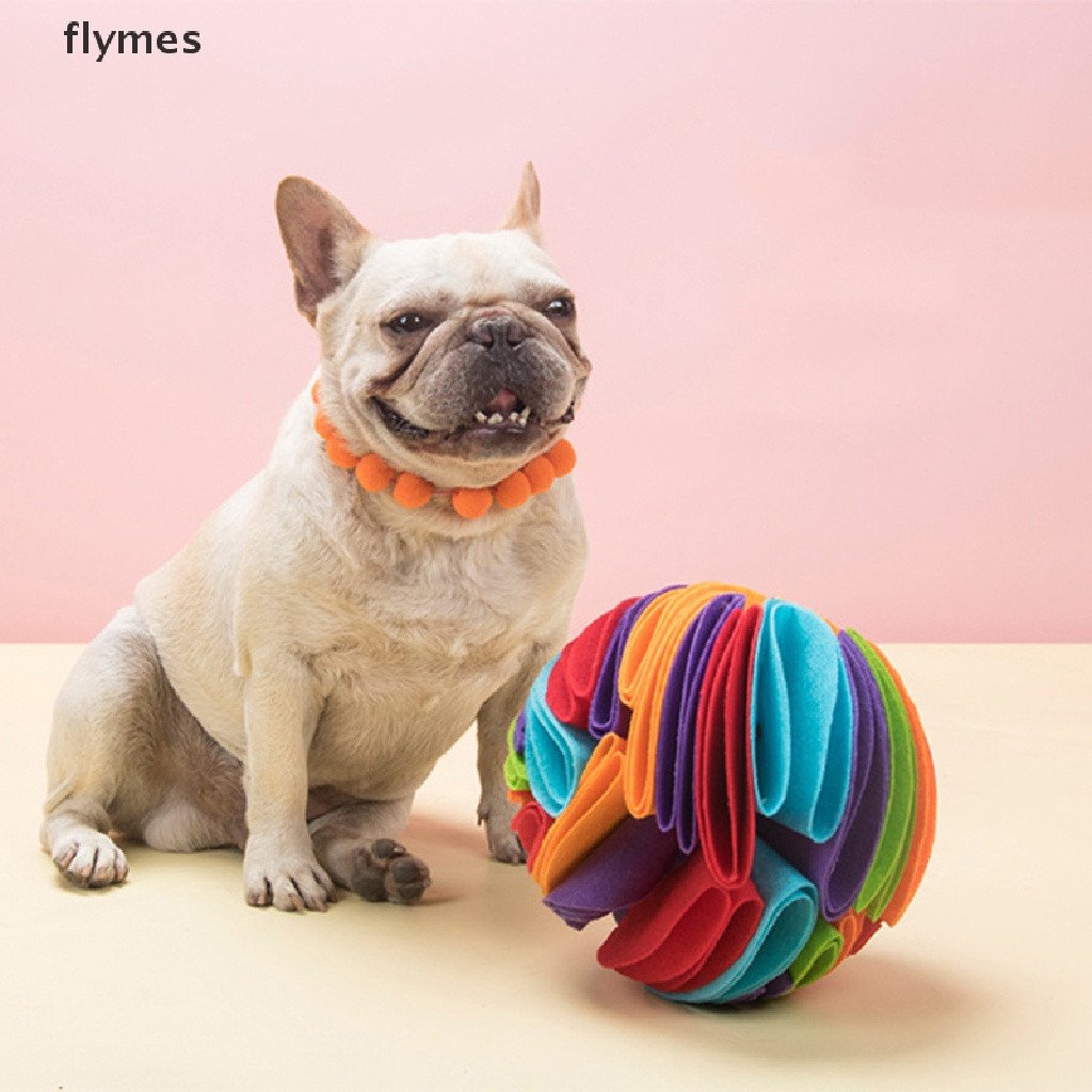 Dog Sniffing Ball Puzzle Toys