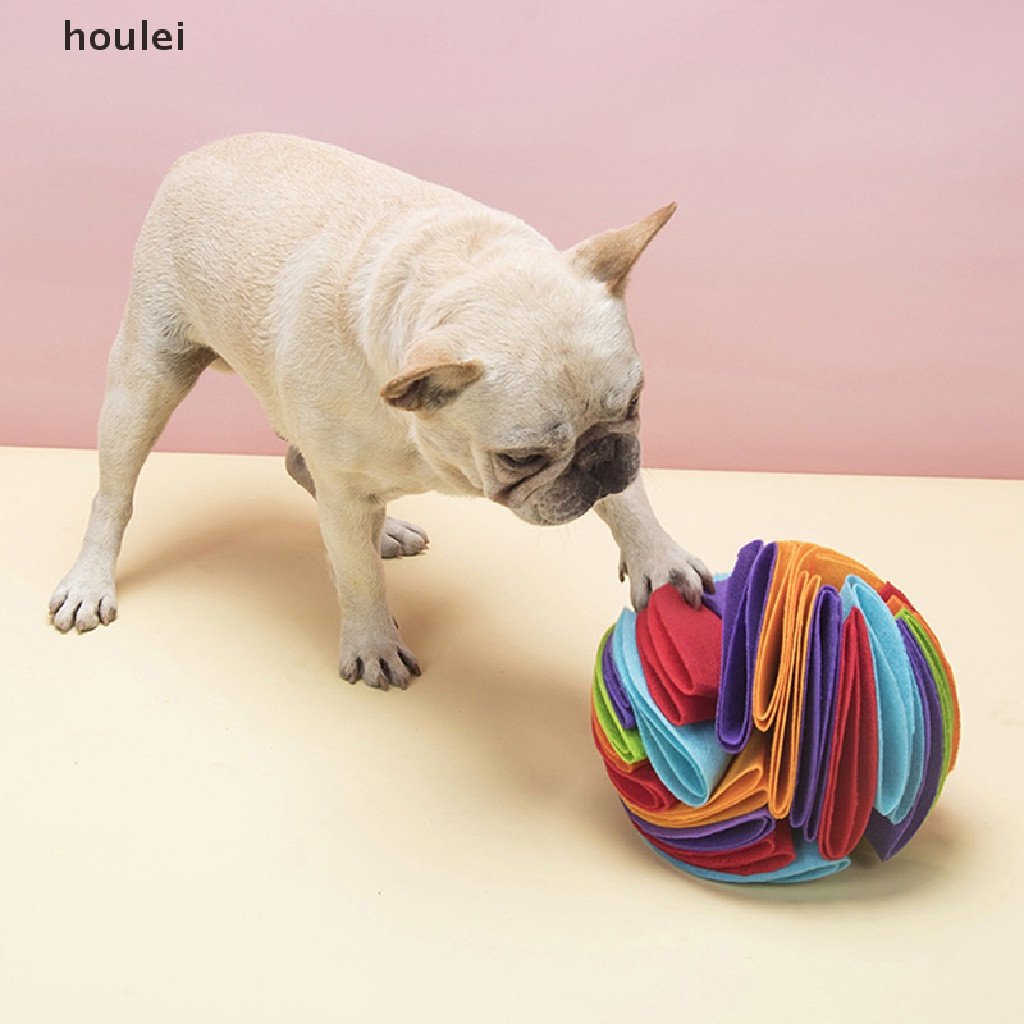 Dog Sniffing Ball Puzzle Toys
