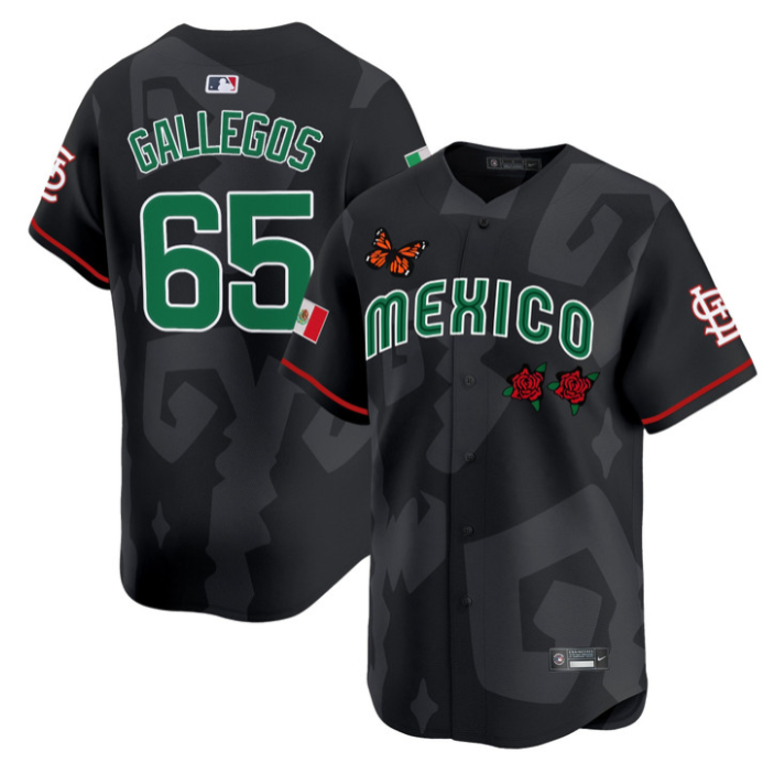 Gallegos Jersey #65 Mexican Heritage 2025 Sentrock Vapor Limited Stitched Black
