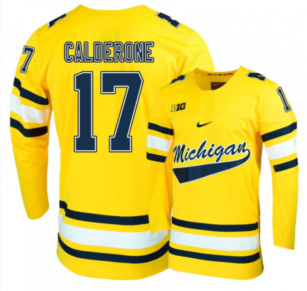Men's Michigan Wolverines Tony Calderone #17 College Hockey Stitched Gold Jersey