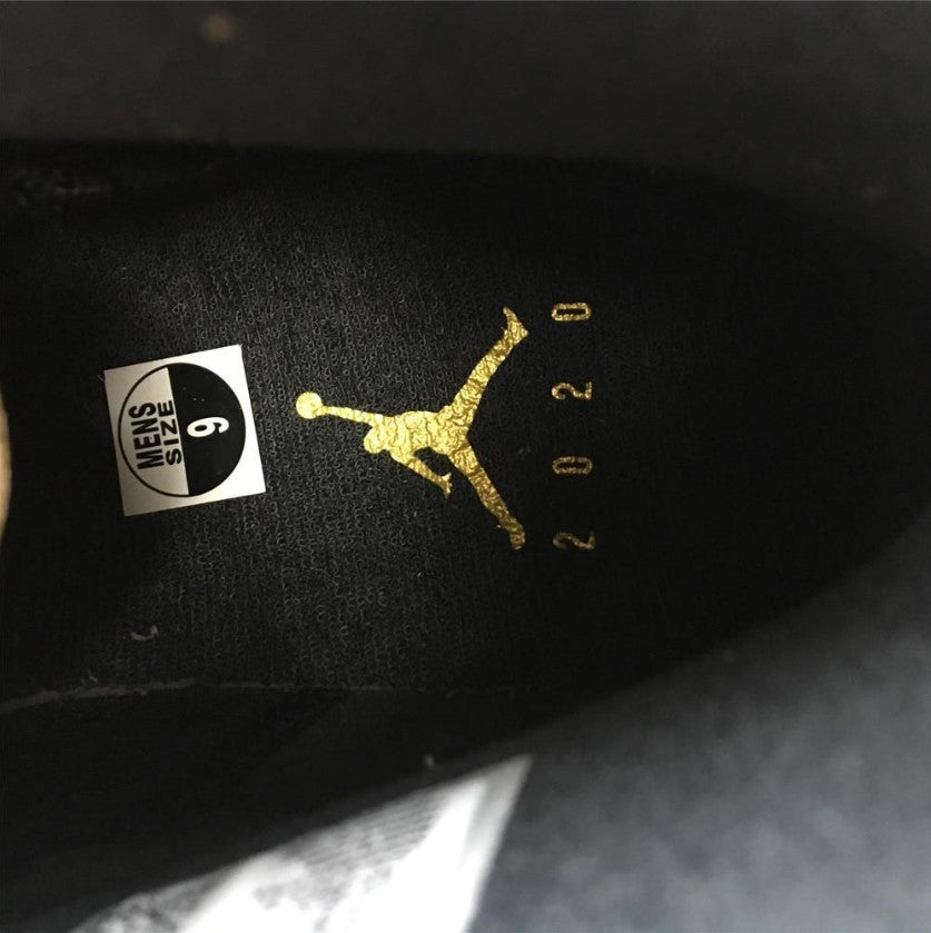 Air Jordan 6 Retro DMP (2020) Shoes Sneakers