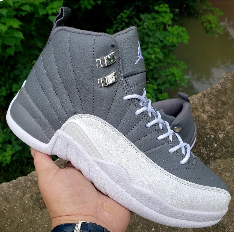 Air Jordan 12 Stealth Shoes Sneakers