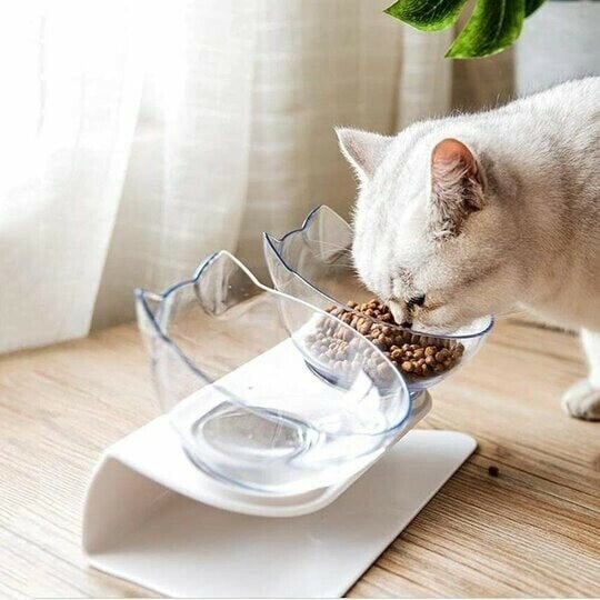 Smart Orthopedic Anti-Vomit Cat Bowl