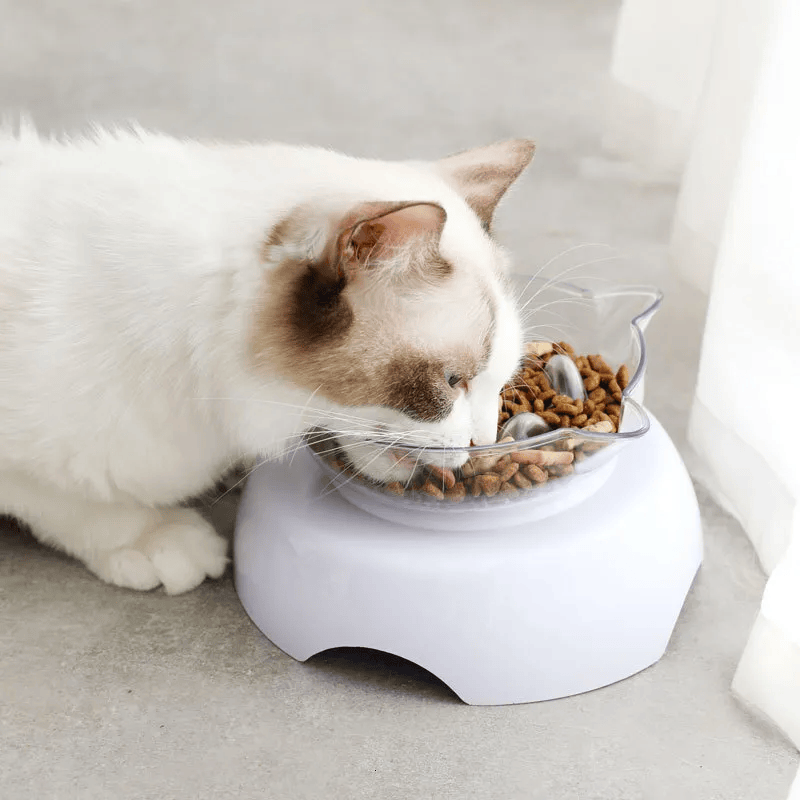 Smart Orthopedic Anti-Vomit Cat Bowl