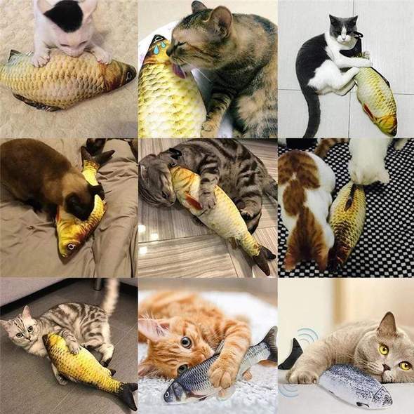 USB Rechargeable Self Moving Fish Cat Toy
