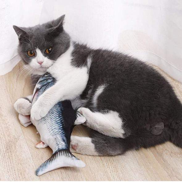 USB Rechargeable Self Moving Fish Cat Toy