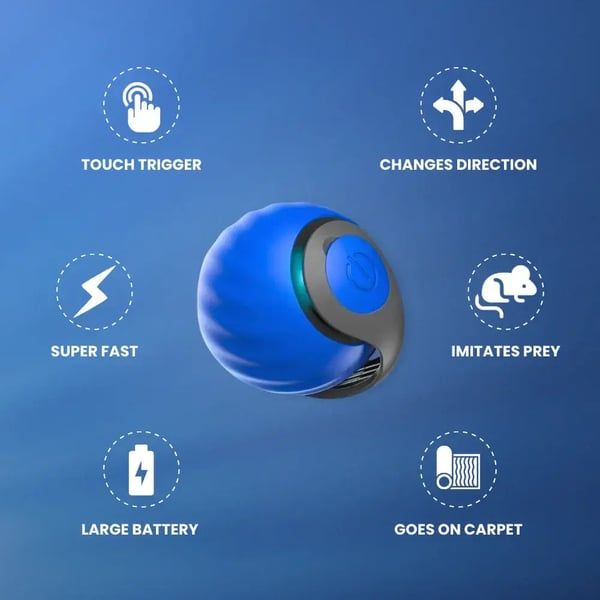 Interactive Electric Rolling Ball