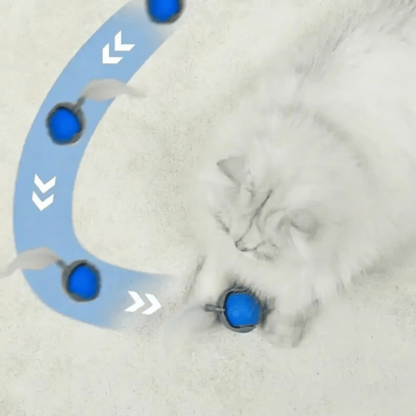 Interactive Electric Rolling Ball
