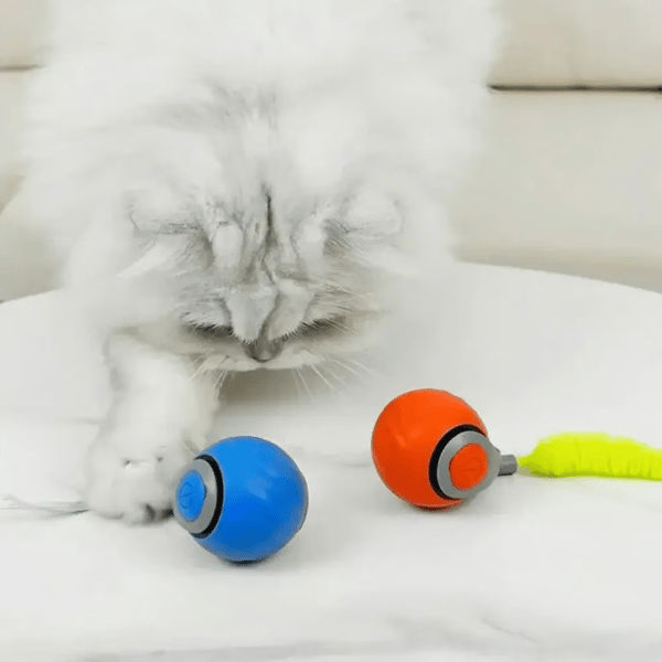 Interactive Electric Rolling Ball