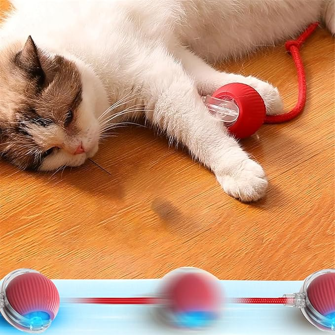 Smart Interactive Pet Toy Ball