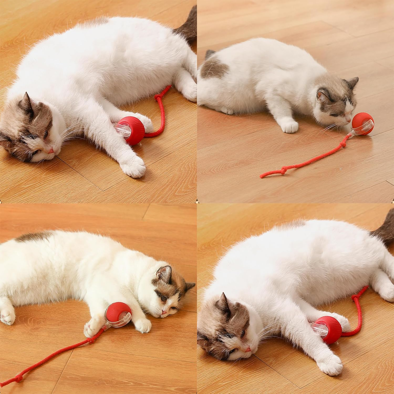 Smart Interactive Pet Toy Ball